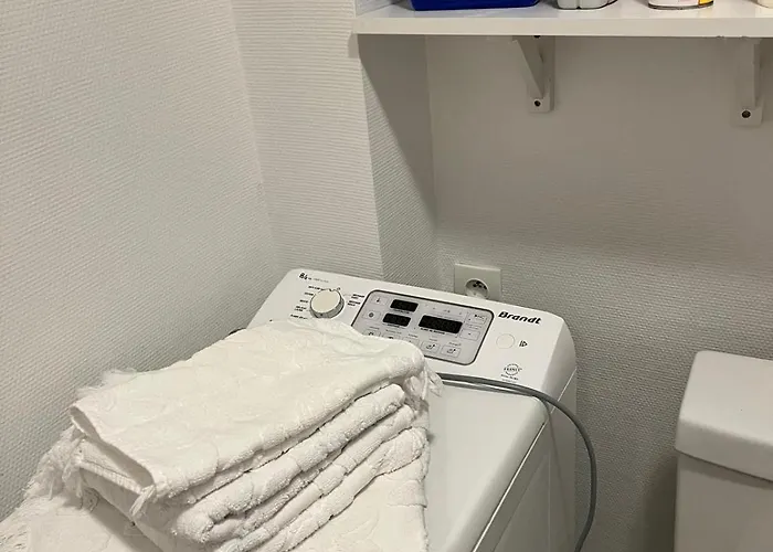 Au Pied Du Vieux-mans Appartement Le Mans