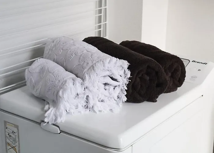 Au Pied Du Vieux-mans Appartement Le Mans